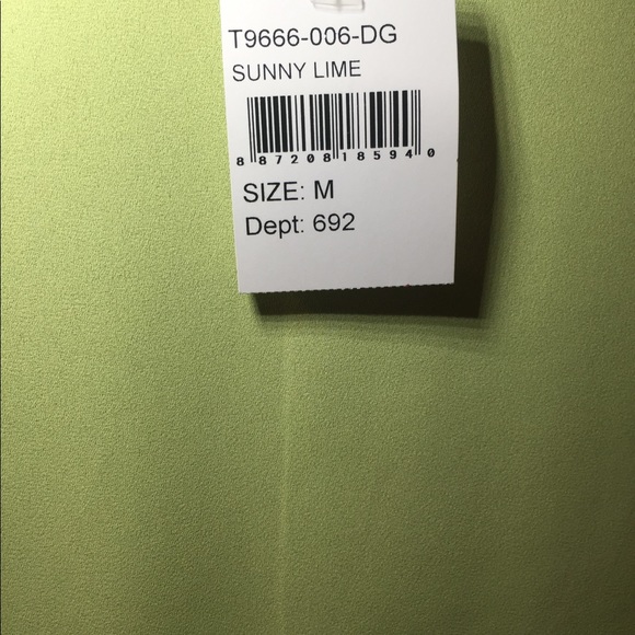 LUSH $38 NEW Sheer Sleeveless Top Size Medium - Picture 4 of 8